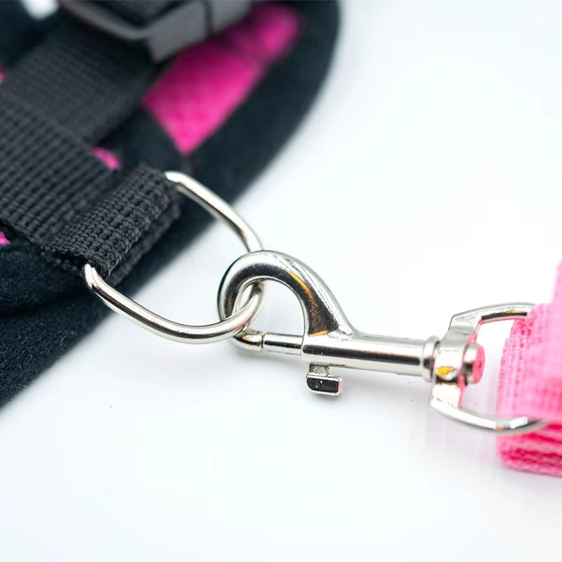 Summer Small Dog Pet Chest and Back Breathable Dog Chest and Back Suit Cat Outdoor Traction Rope Child Collar