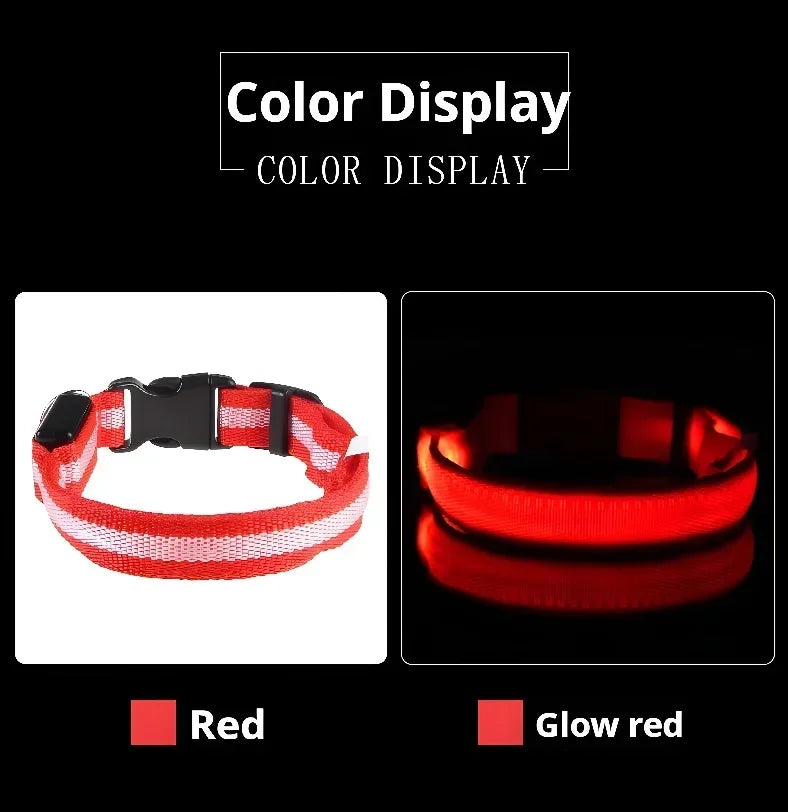 Smart LED Glow Collar – Night Safety Light Collar for Dogs