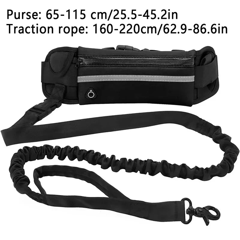 🔥 Walk-Free™ Hands-Free Dog Leash with Waist Belt – Running, Walking & Hiking Bungee Leash