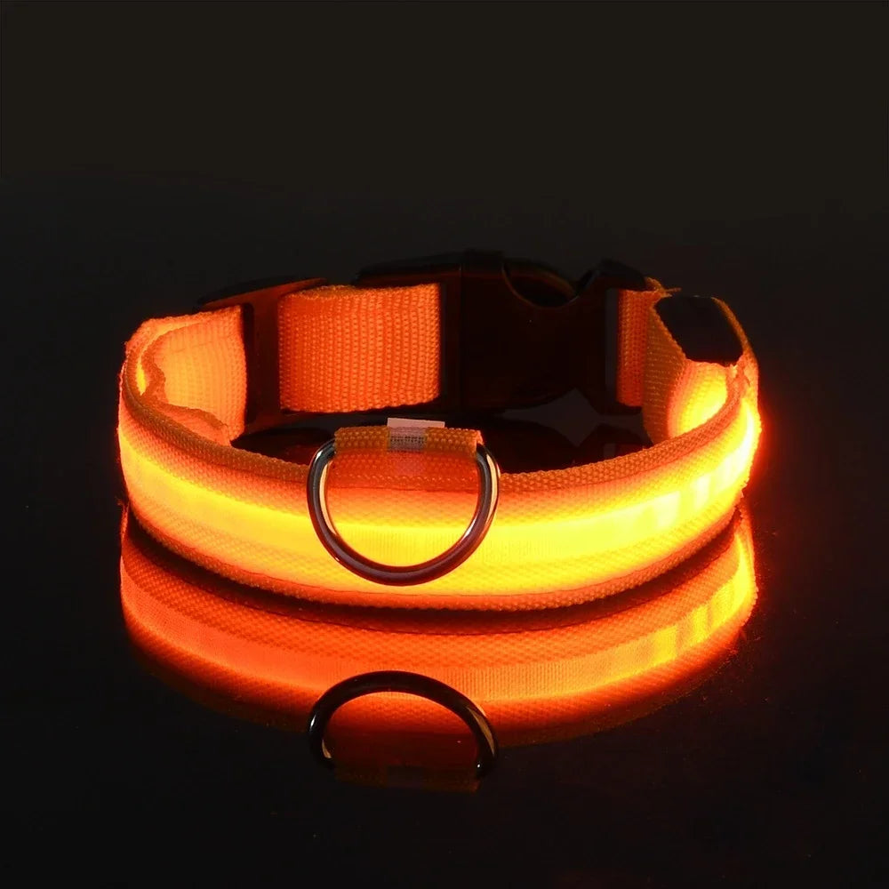 Smart LED Glow Collar – Night Safety Light Collar for Dogs