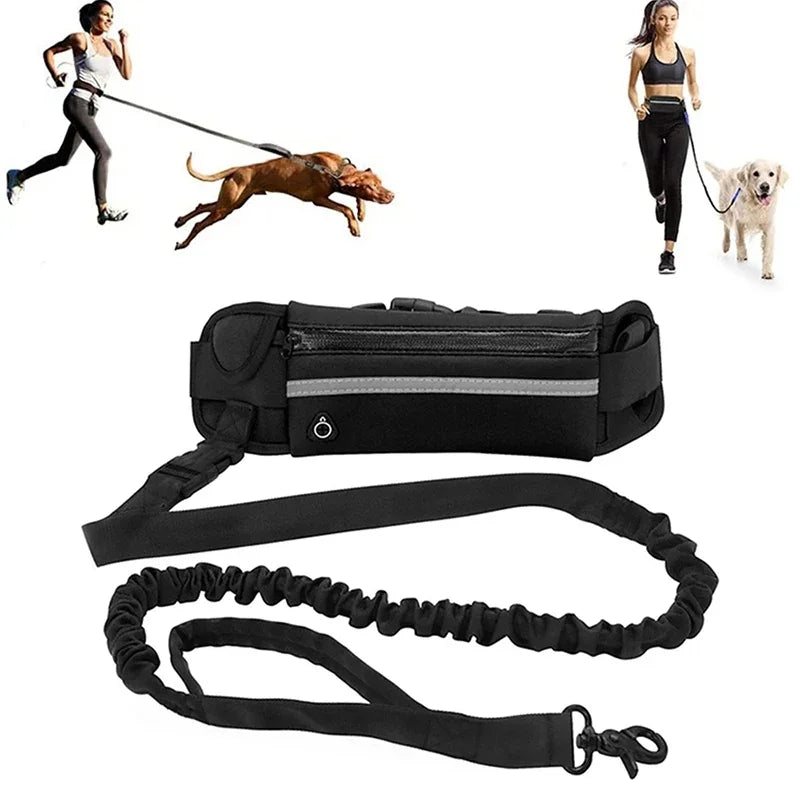 🔥 Walk-Free™ Hands-Free Dog Leash with Waist Belt – Running, Walking & Hiking Bungee Leash