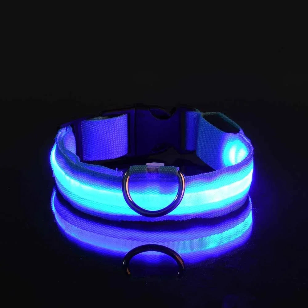 Smart LED Glow Collar – Night Safety Light Collar for Dogs