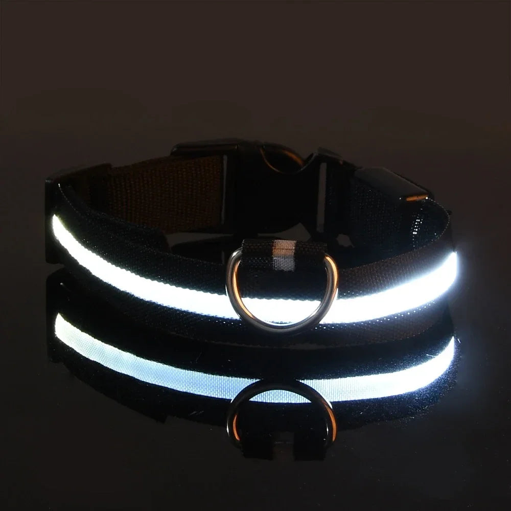 Smart LED Glow Collar – Night Safety Light Collar for Dogs