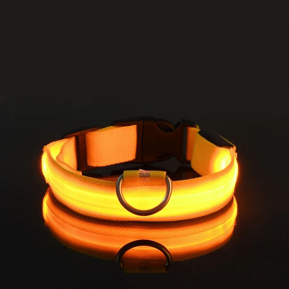 Smart LED Glow Collar – Night Safety Light Collar for Dogs