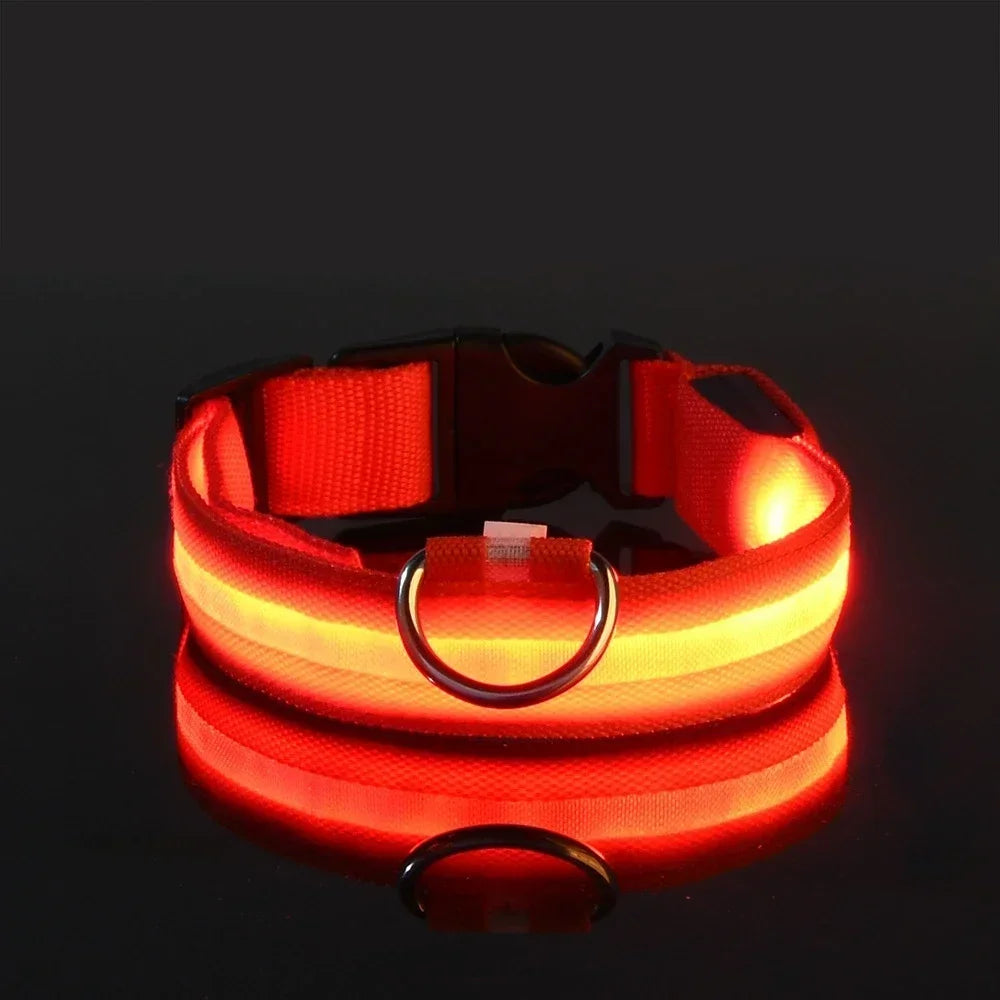 Smart LED Glow Collar – Night Safety Light Collar for Dogs