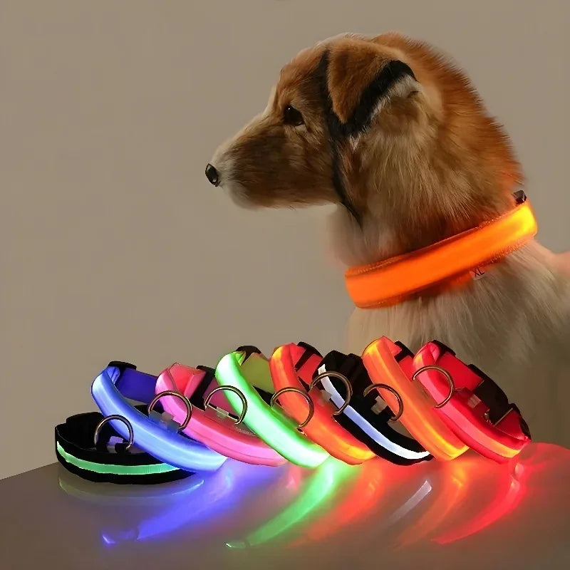 Smart LED Glow Collar – Night Safety Light Collar for Dogs