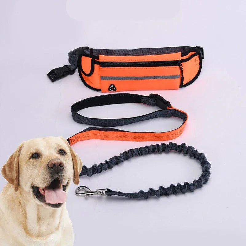🔥 Walk-Free™ Hands-Free Dog Leash with Waist Belt – Running, Walking & Hiking Bungee Leash