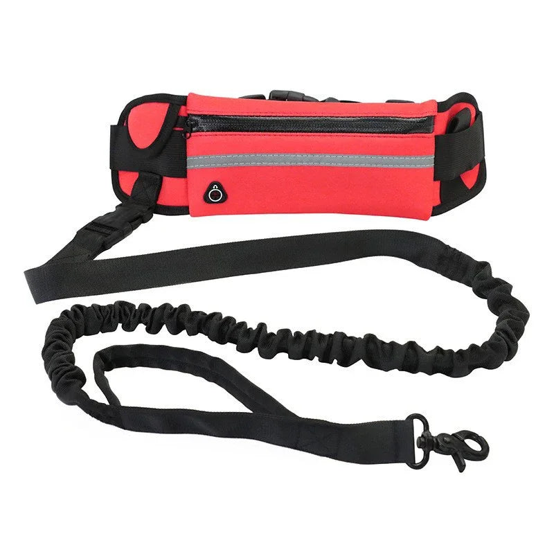 🔥 Walk-Free™ Hands-Free Dog Leash with Waist Belt – Running, Walking & Hiking Bungee Leash