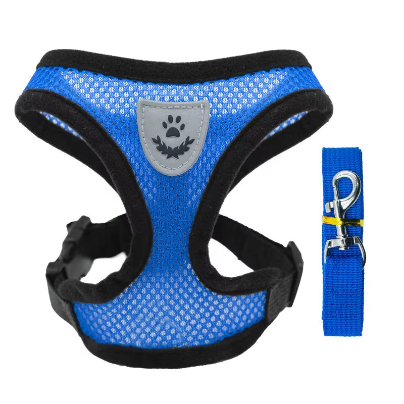 Summer Small Dog Pet Chest and Back Breathable Dog Chest and Back Suit Cat Outdoor Traction Rope Child Collar