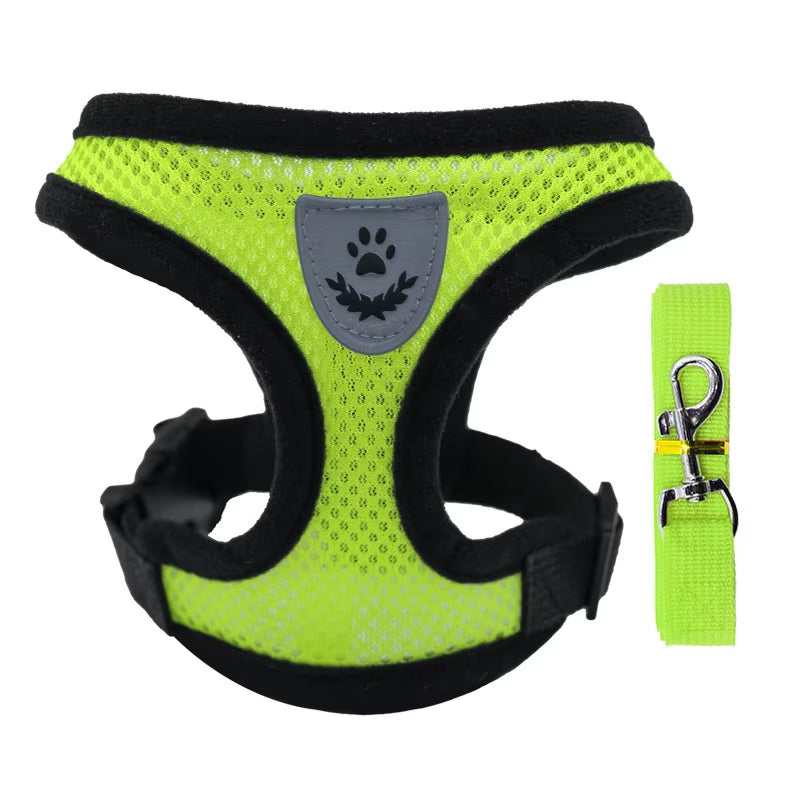 Summer Small Dog Pet Chest and Back Breathable Dog Chest and Back Suit Cat Outdoor Traction Rope Child Collar