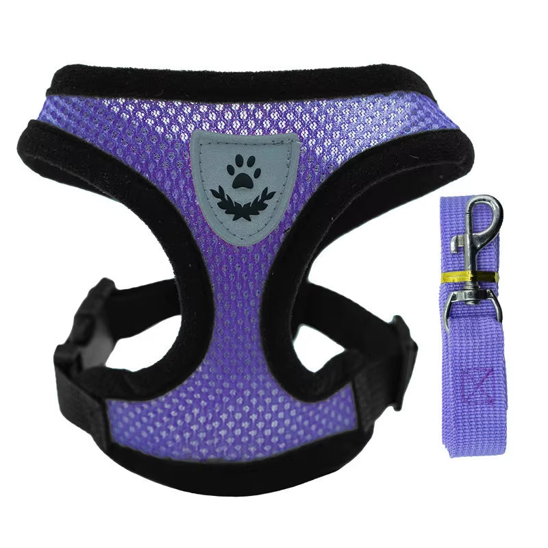 Summer Small Dog Pet Chest and Back Breathable Dog Chest and Back Suit Cat Outdoor Traction Rope Child Collar