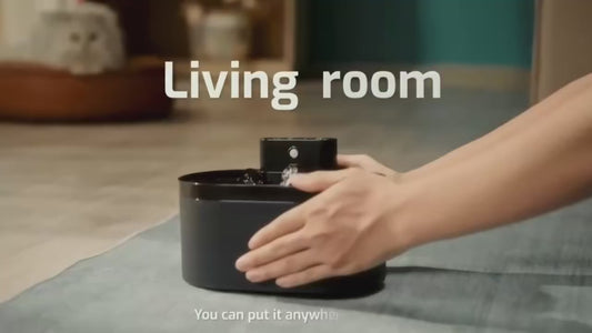 Pet Oasis™ Wireless Smart Water Fountain – 2.2L Automatic Hydration System